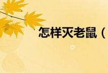 怎样灭老鼠（家里怎样灭老鼠）