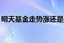 明天基金走势涨还是跌 基金连跌3天还能涨吗