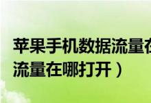 苹果手机数据流量在哪里打开（苹果手机数据流量在哪打开）