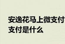 安逸花马上微支付额度怎么查 安逸花马上微支付是什么