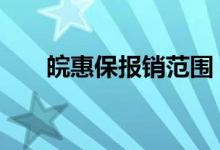 皖惠保报销范围 皖惠保报销范围明细