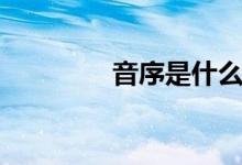 音序是什么（什么叫音序）
