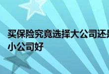 买保险究竟选择大公司还是小公司 买保险到底大公司好还是小公司好
