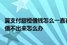翼支付甜橙借钱怎么一直在审核中 翼支付甜橙借钱循环额度借不出来怎么办