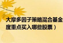 大摩多因子策略混合基金2020年利润如何（2021年第二季度重点买入哪些股票）