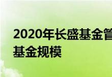 2020年长盛基金管理有限公司的有哪些类型基金规模