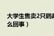 大学生售卖2只鹦鹉一审获刑6年（到底是怎么回事）