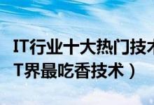 IT行业十大热门技术方向（it行业最热门技术IT界最吃香技术）