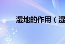 湿地的作用（湿地的功能包括哪些）
