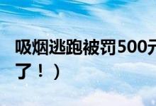 吸烟逃跑被罚500元（首单个人最高罚款出现了！）