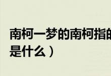 南柯一梦的南柯指的是什么（南柯一梦的南柯是什么）