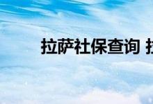 拉萨社保查询 拉萨个人社保卡查询