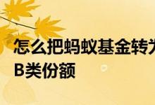 怎么把蚂蚁基金转为b类份额 蚂蚁基金怎么转B类份额