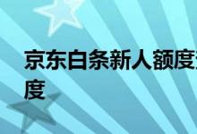 京东白条新人额度查征信吗 京东白条新人额度