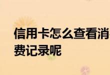 信用卡怎么查看消费记录 信用卡怎么查看消费记录呢