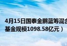4月15日国泰金鹏蓝筹混合基金怎么样（2020年公司指数型基金规模1098.58亿元）