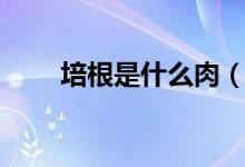 培根是什么肉（培根是什么肉做的）