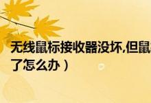 无线鼠标接收器没坏,但鼠标坏了怎么办（无线鼠标接收器坏了怎么办）