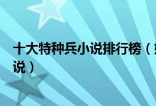 十大特种兵小说排行榜（好看的特种兵小说关于特种兵的小说）