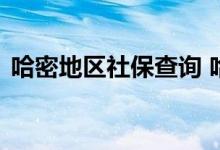 哈密地区社保查询 哈密地区个人社保卡查询