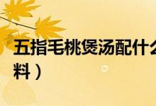 五指毛桃煲汤配什么（五指毛桃煲汤配什么材料）