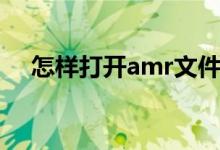 怎样打开amr文件（amr文件如何打开）