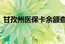 甘孜州医保卡余额查询 甘孜州医疗保险查询