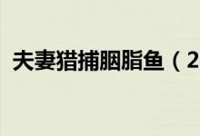 夫妻猎捕胭脂鱼（2017胭脂鱼多少钱一斤）