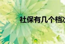社保有几个档次 断交有什么影响 