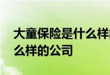 大童保险是什么样的公司 大童保险是一家什么样的公司