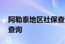 阿勒泰地区社保查询 阿勒泰地区个人社保卡查询