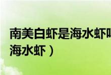 南美白虾是海水虾吗（南美白虾是淡水虾还是海水虾）