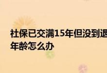 社保已交满15年但没到退休年龄 社保交满15年还没到退休年龄怎么办