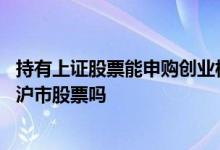 持有上证股票能申购创业板新股吗 持有创业板股票可以申购沪市股票吗