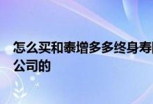 怎么买和泰增多多终身寿险 增多多2号增额终身寿险是哪家公司的