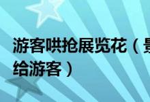 游客哄抢展览花（景区将景观花当作伴手礼送给游客）