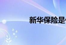 新华保险是什么时候上市的