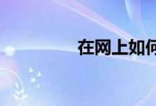 在网上如何购买车损险呢