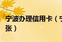 宁波办理信用卡（宁波银行信用卡可以申请几张）