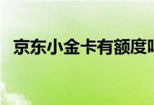 京东小金卡有额度吗（可以进行透支消费）