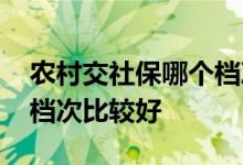 农村交社保哪个档次最划算 农村社保交哪个档次比较好