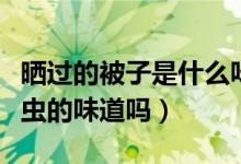 晒过的被子是什么味道（晒过的被子真是烤螨虫的味道吗）