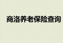 商洛养老保险查询 商洛个人养老保险查询