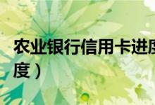 农业银行信用卡进度查询（农业银行信用卡进度）