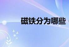 磁铁分为哪些（磁铁分为哪两极）