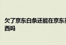 欠了京东白条还能在京东买东西吗 白条欠费还能用京东买东西吗