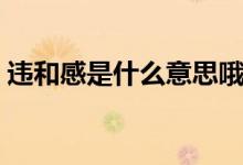 违和感是什么意思哦（违合感的意思是什么）