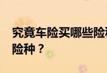 究竟车险买哪些险种&#63;车险有哪些险种？