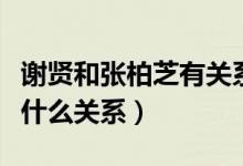 谢贤和张柏芝有关系吗（谢贤和张柏芝之间是什么关系）