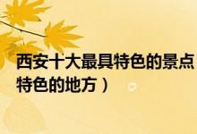 西安十大最具特色的景点（西安最有代表性的景点西安最具特色的地方）